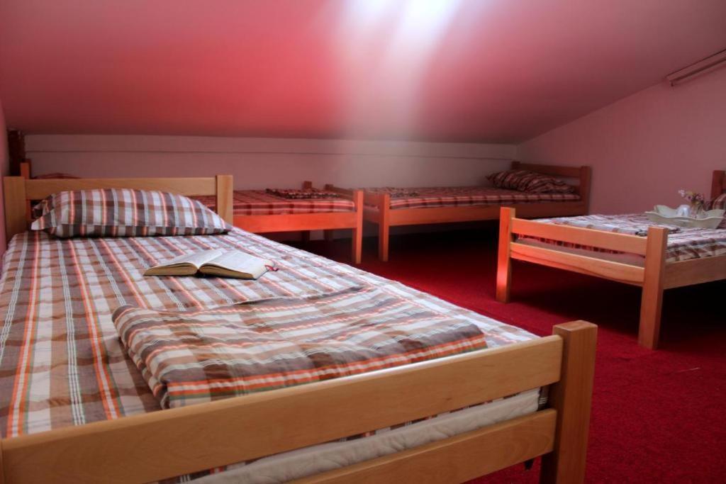 Belgrade Bicycle Hostel Dış mekan fotoğraf