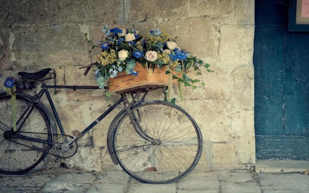 Belgrade Bicycle Hostel Dış mekan fotoğraf